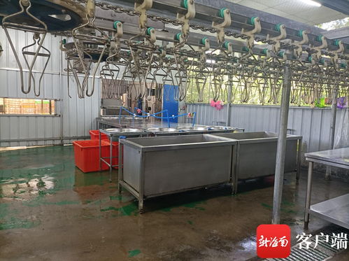 文昌推進農產品倉儲保鮮冷鏈設施建設 農村合作社一年增效90萬